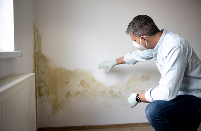 Mold Containment and Moisture Control