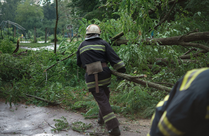 Emergency Cleanup and Repair After a Storm