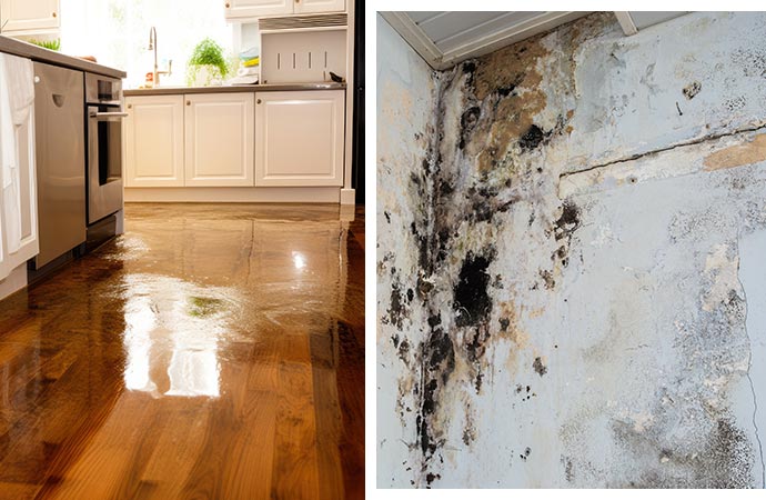 Various types of water damage like mold and direct water